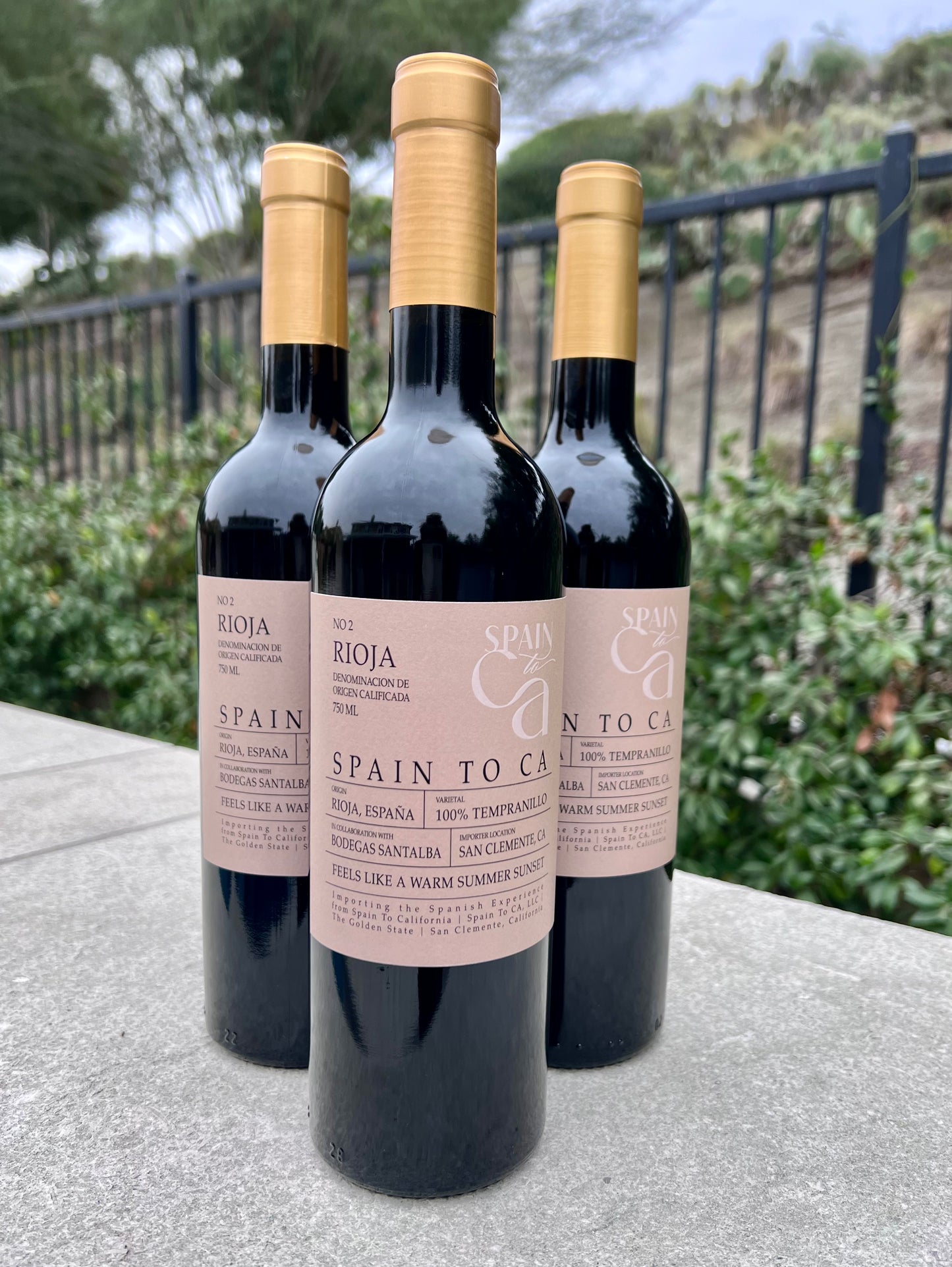 No 2 || Vino Tinto CASE