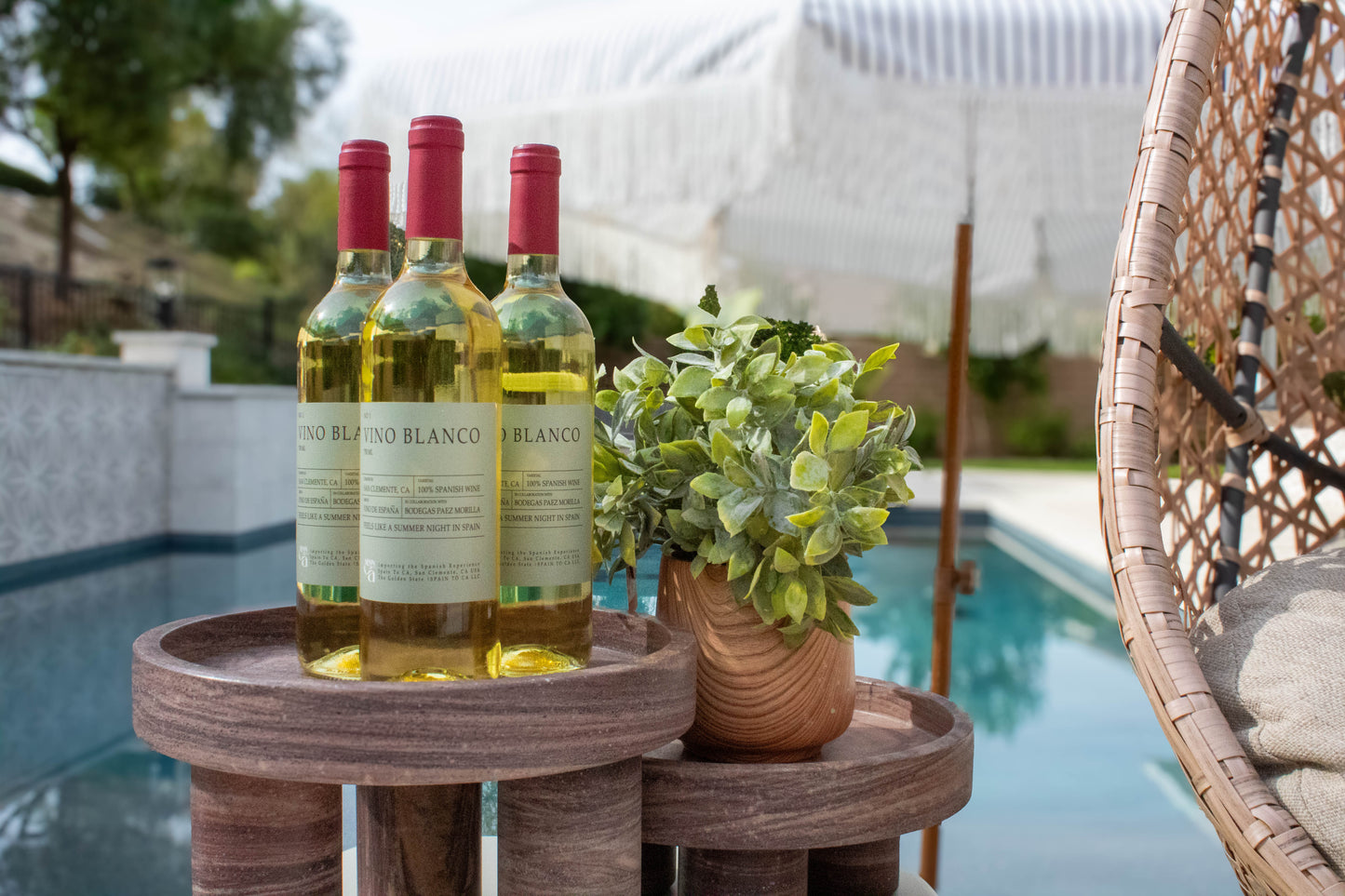 CASE PRICE || No 1 Vino Blanco